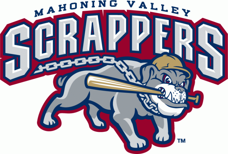 Mahoning Valley Scrappers 2009-Pres Primary Logo iron on heat transfer